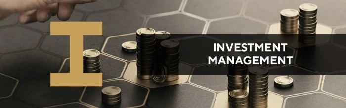 Investment management image with stacked coins