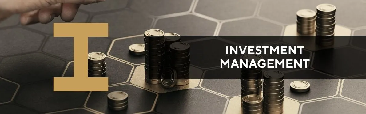 Investment management image with stacked coins